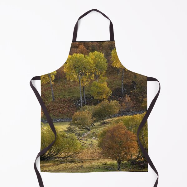 Item preview, Aspen, Birch and Willow in Autumn, Scotland. designed and sold by PhotosEcosse.