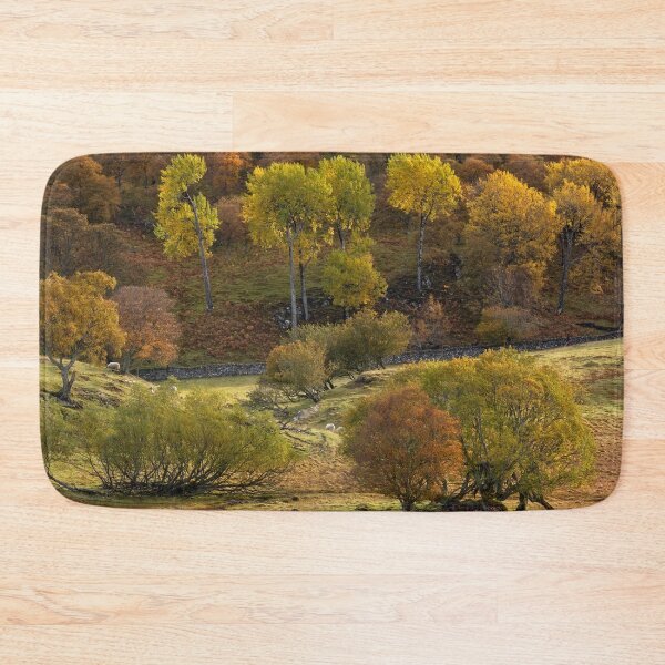 Item preview, Aspen, Birch and Willow in Autumn, Scotland. designed and sold by PhotosEcosse.