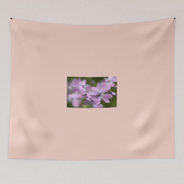 Item preview, Pink Spring Phlox designed and sold by T.J. Martin.