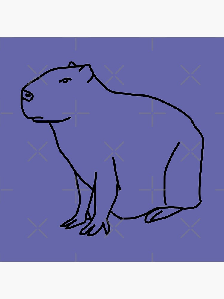 How to draw CAPYBARA step by step, VERY EASY and fast 