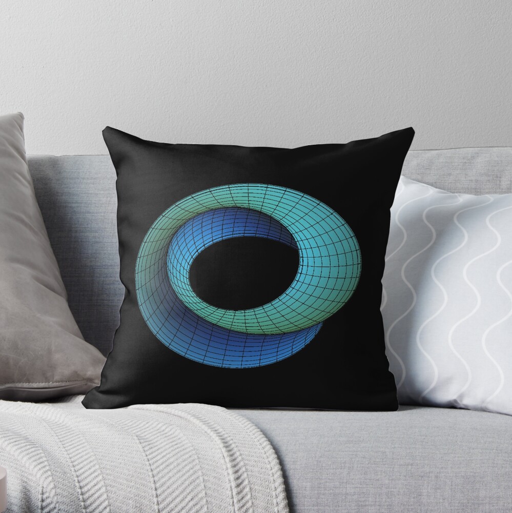 Donut Cushion - Mobius