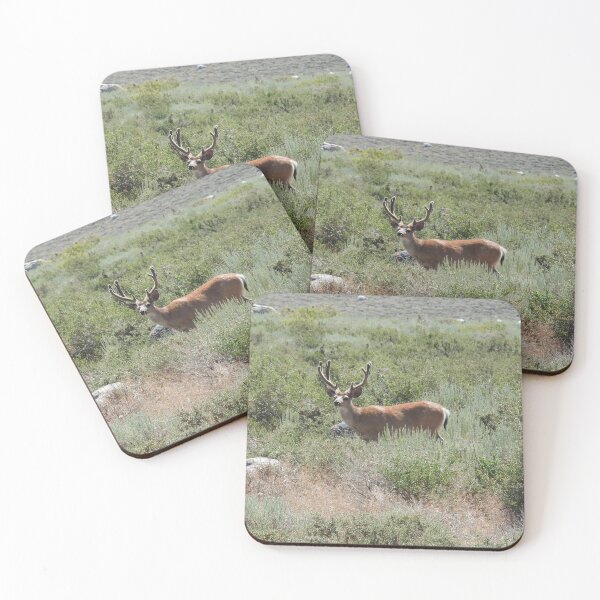 Item preview, Mule deer, buck, wildlife gifts, wild animals designed and sold by Sandra O'Toole.