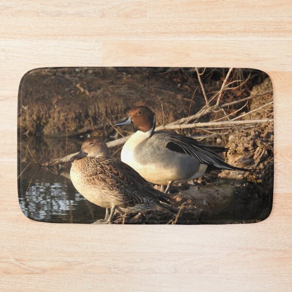Item preview, Northern pintail ducks, wildlife gifts, waterfowl designed and sold by Sandra O'Toole.