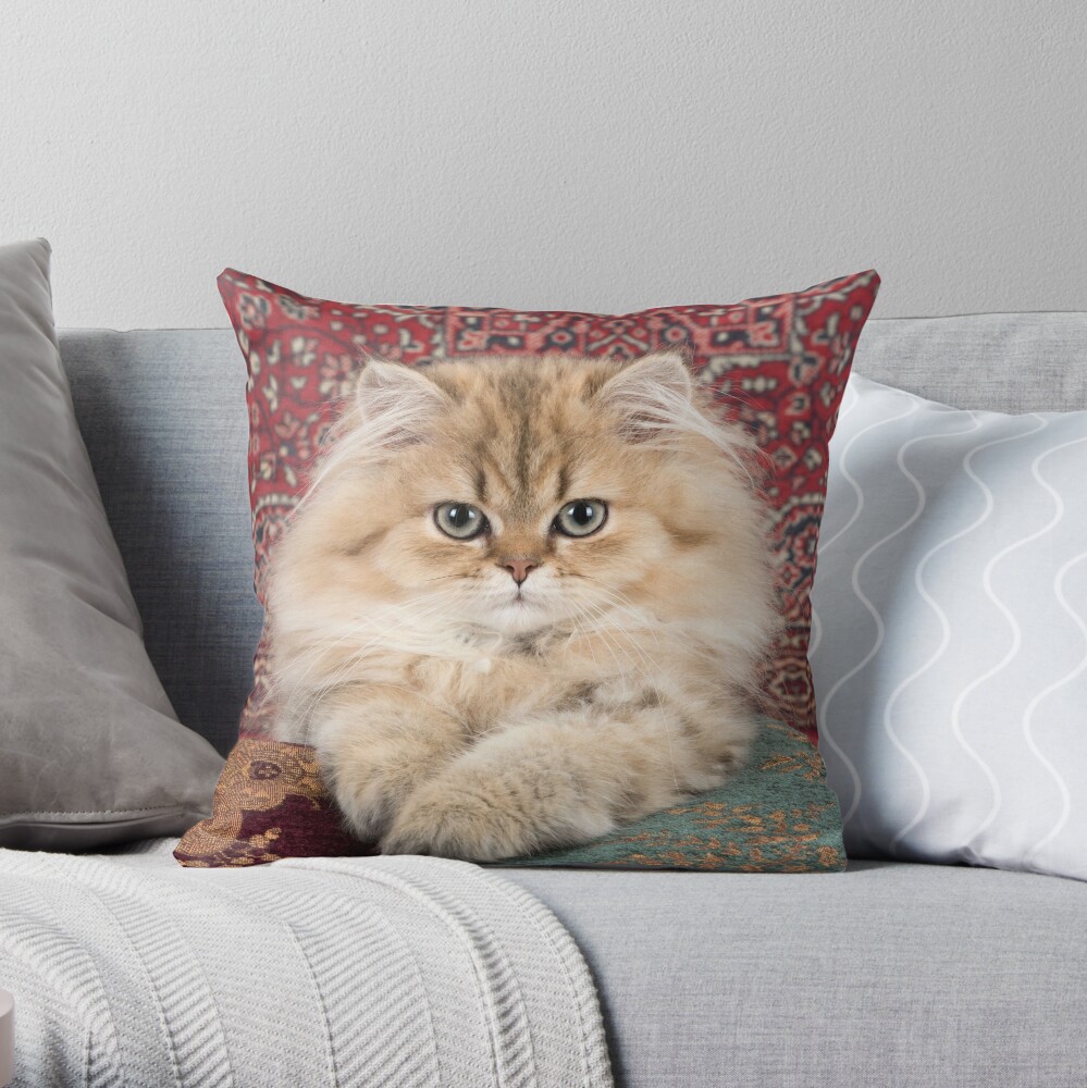 Persian cat shop pillow