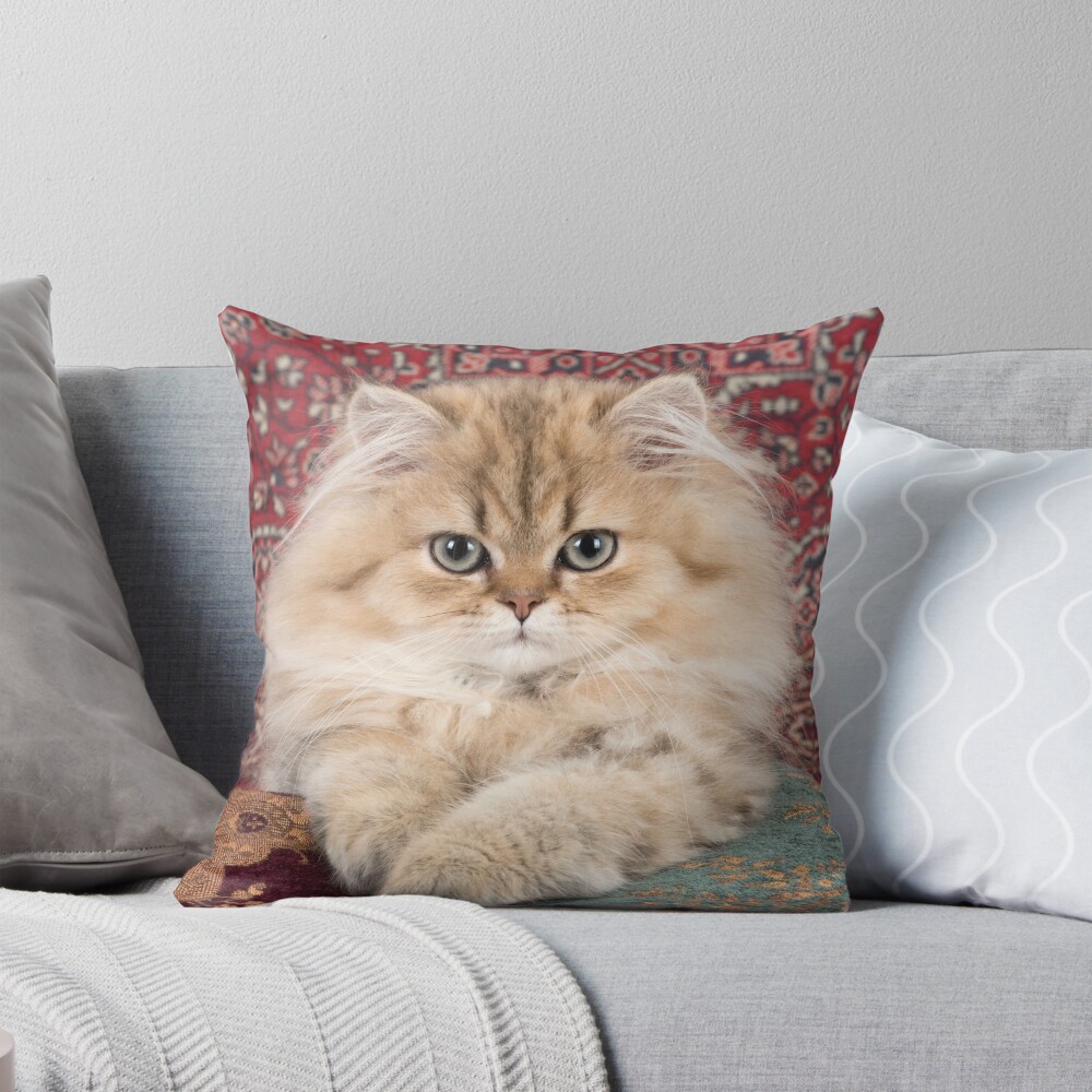 petsafe wireless fence settings