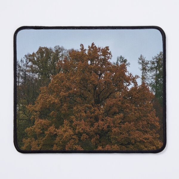 Item preview, Autumn oak tree designed and sold by Raigitam.
