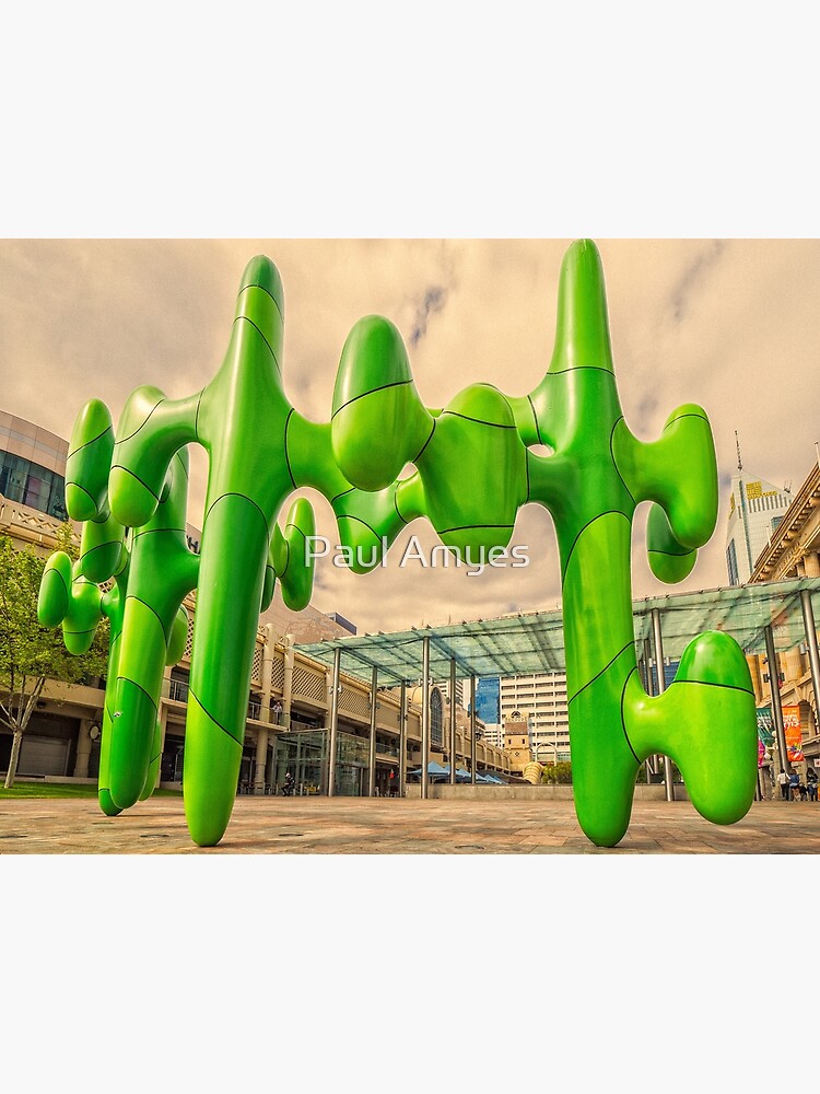 The Cactus by AmyesPhotograph