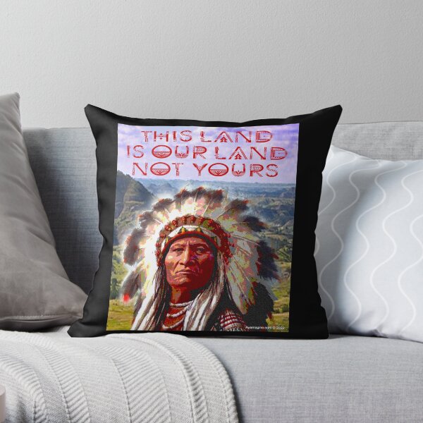 This Land Throw Pillow