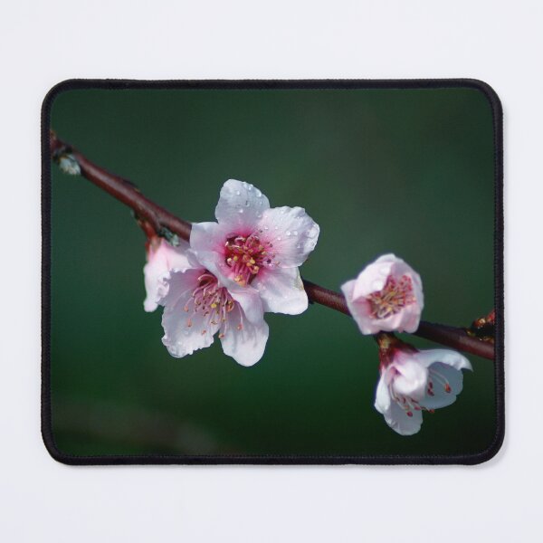 Item preview, flowery branch designed and sold by iago rodriguez dopico.