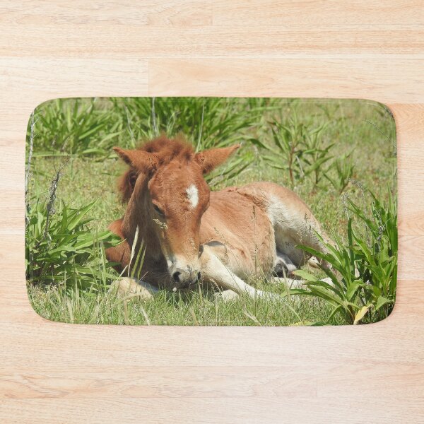 Item preview, Wild horses, wildlife gifts, Assateague Island designed and sold by Sandra O'Toole.