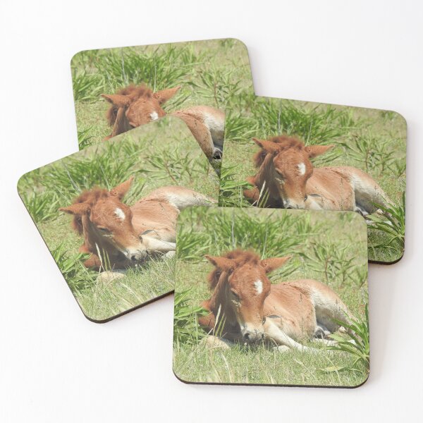 Item preview, Wild horses, wildlife gifts, Assateague Island designed and sold by Sandra O'Toole.