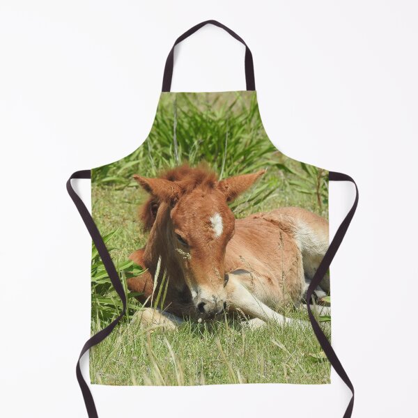 Item preview, Wild horses, wildlife gifts, Assateague Island designed and sold by Sandra O'Toole.