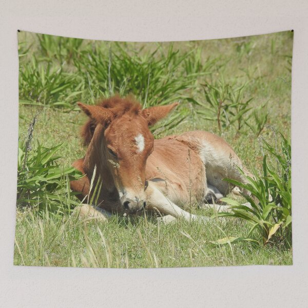 Item preview, Wild horses, wildlife gifts, Assateague Island designed and sold by Sandra O'Toole.