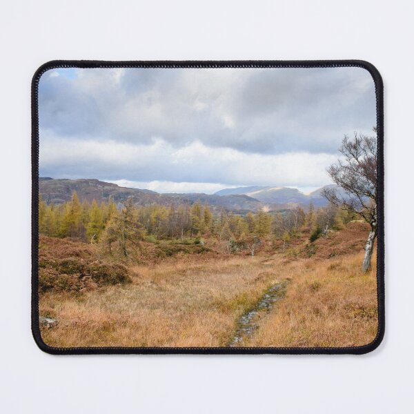 Item preview, Autumn on Holme Fell designed and sold by John Dunbar.