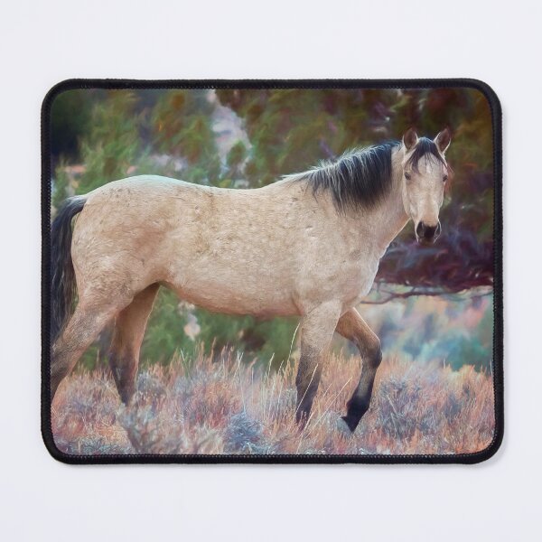 Item preview, Beautiful Buckskin designed and sold by Belinda Greb Photography.