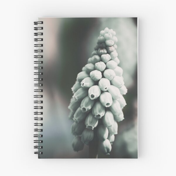 Item preview, Muscari designed and sold by akiobsession.