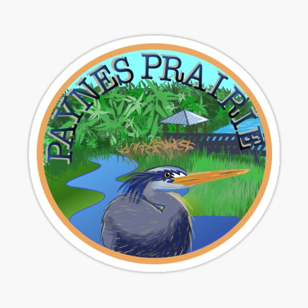 Vista previa del artículo con la obra «Paynes Prairie», diseñado y vendido por elmroz.
