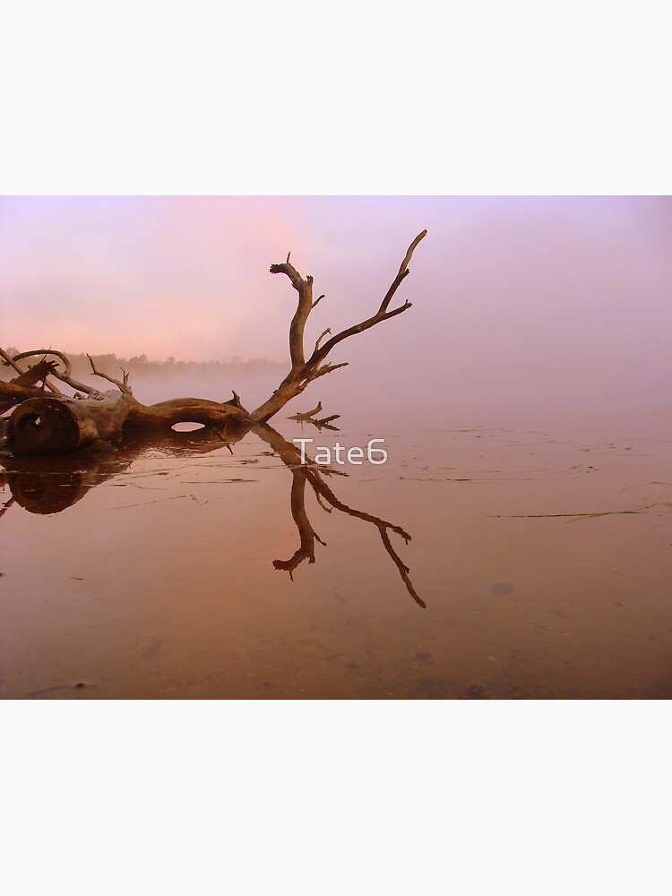 Solitary by Tate6