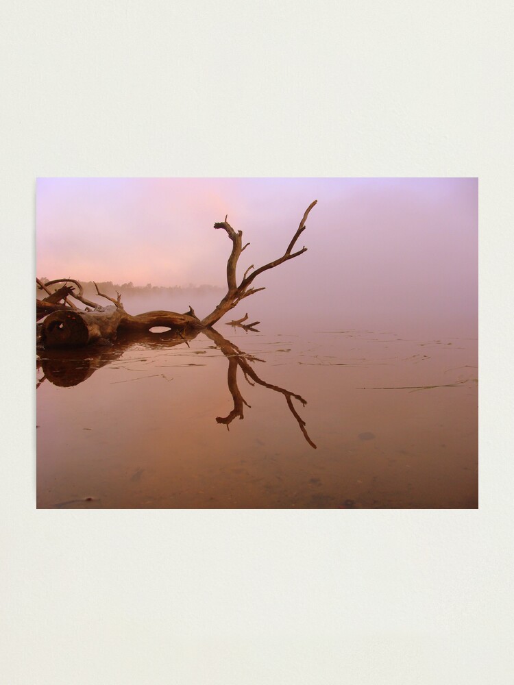 Alternate view of Solitary Photographic Print