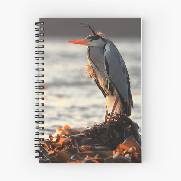 Item preview, Heron by the sea designed and sold by chanonry.