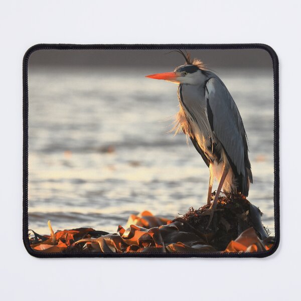 Item preview, Heron by the sea designed and sold by chanonry.