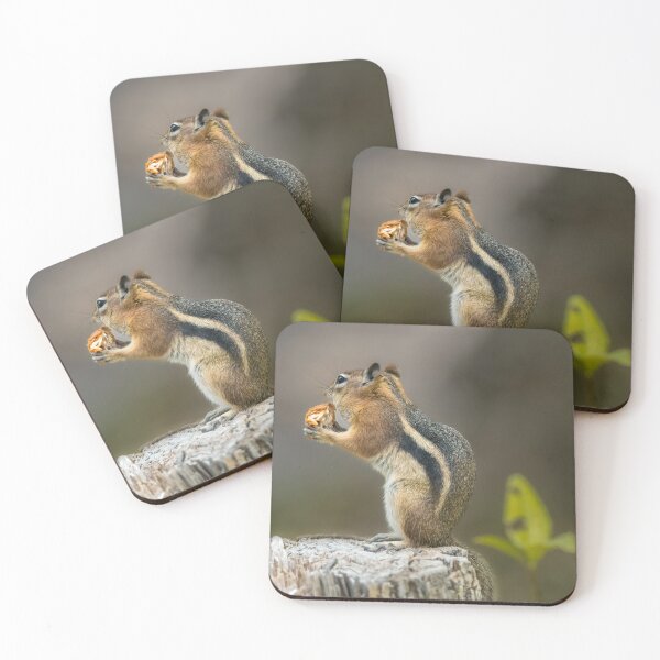 Item preview, Golden-Mantled Ground Squirrel designed and sold by Debra Martz.