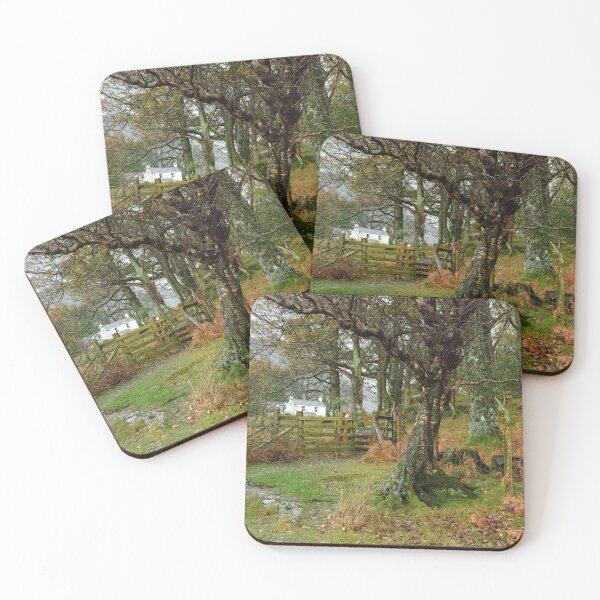 Item preview, Wood House at Buttermere designed and sold by John Dunbar.