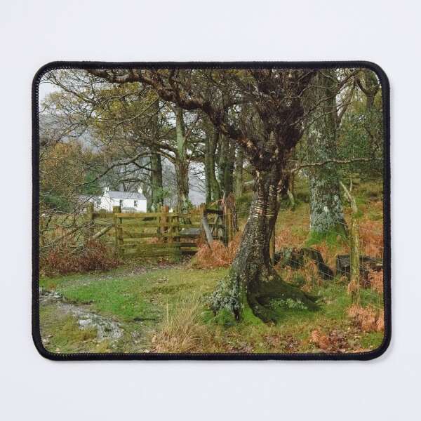 Item preview, Wood House at Buttermere designed and sold by John Dunbar.
