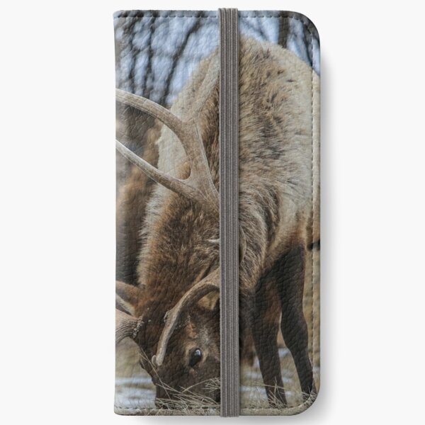 Show Off iPhone Wallet