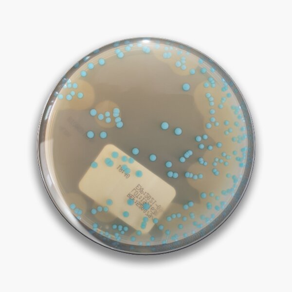 Item preview, Listeria species on ALOA designed and sold by Fromthelab.