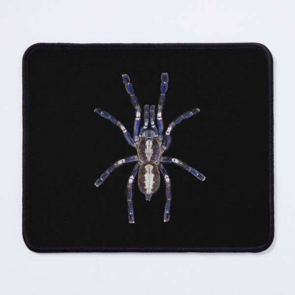 Item preview, Poecilotheria metallica ornament tarantula realistic spider art graphic on black designed and sold by Avicularious.