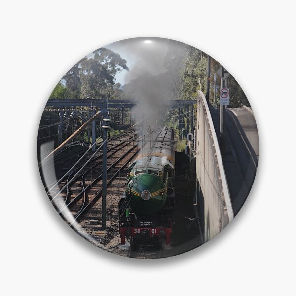 Item preview, Newcastle Flyer - Steam Engine 3801 20221015 designed and sold by muz2142.