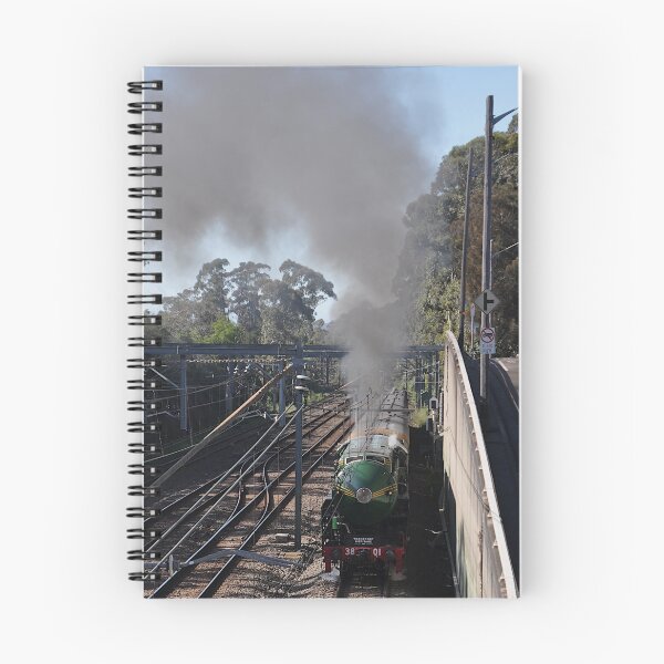 Item preview, Newcastle Flyer - Steam Engine 3801 20221015 designed and sold by muz2142.