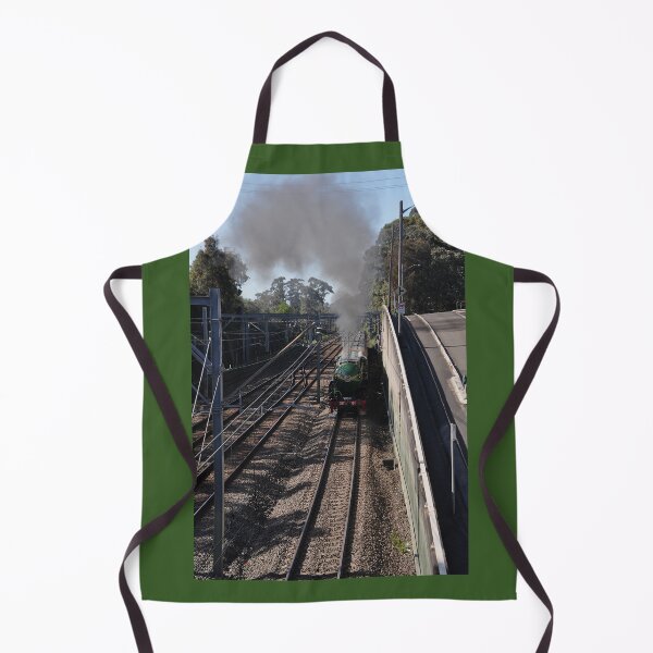 Item preview, Newcastle Flyer - Steam Engine 3801 20221015 designed and sold by muz2142.