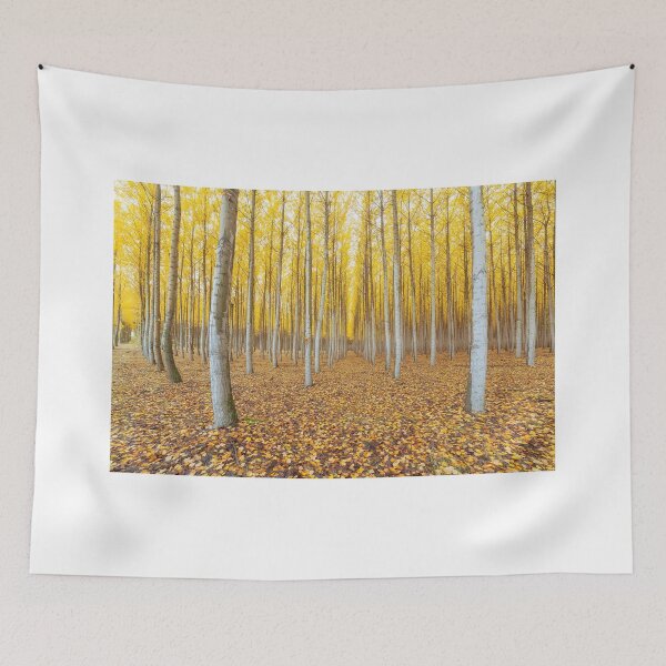 Item preview, Poplar Tree Farm in Boardman Oregon in Fall designed and sold by davidgnsx1.