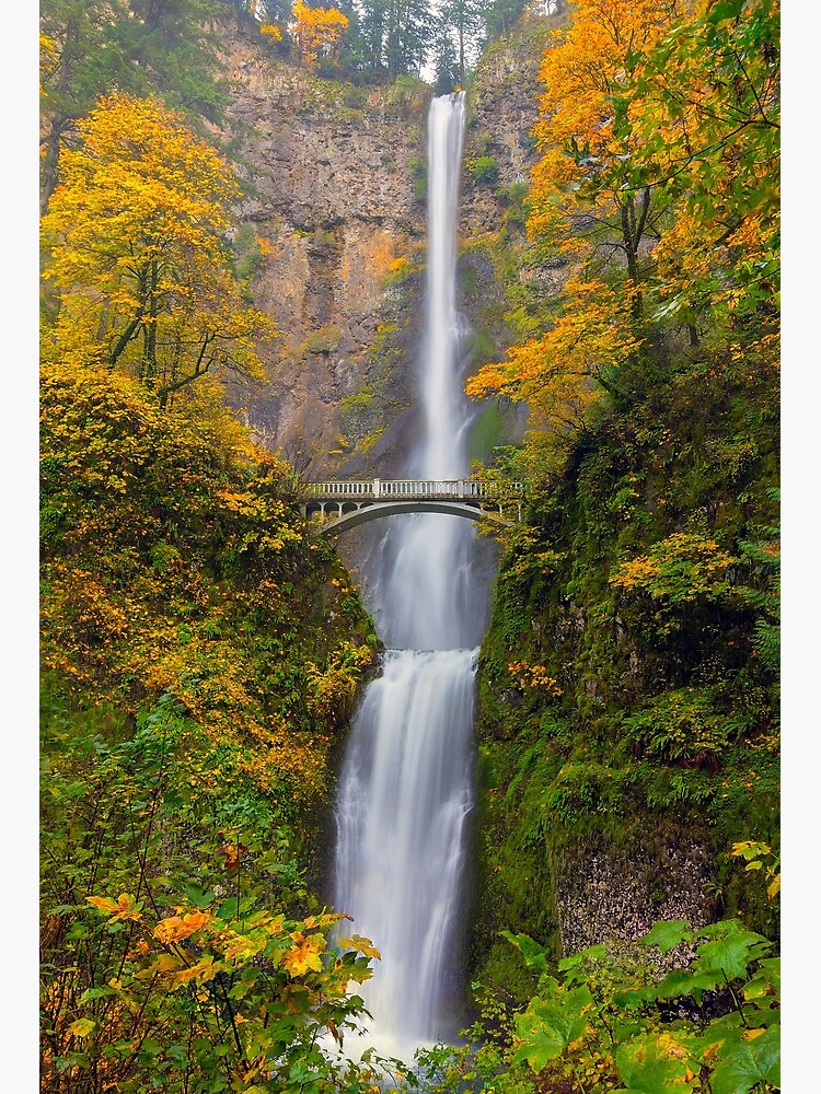 Travel Souvenir Magnet Oregon MULTNOMAH FALLS 