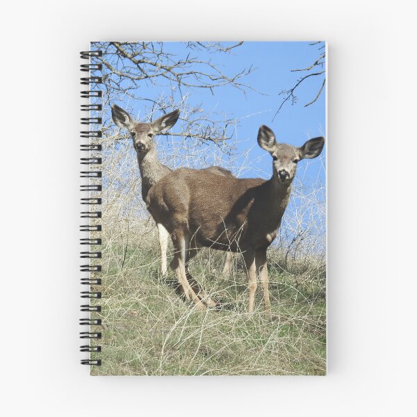 Item preview, Mule Deer, Wildlife Gifts, Wild Animals designed and sold by Sandra O'Toole.