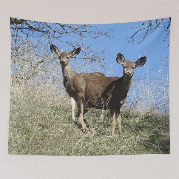 Item preview, Mule Deer, Wildlife Gifts, Wild Animals designed and sold by Sandra O'Toole.
