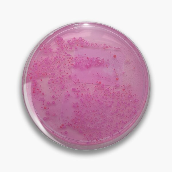 Item preview, DRBCA growing lots of yeasts designed and sold by Fromthelab.