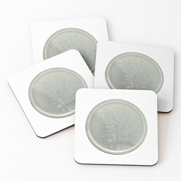Item preview, Feathered Bacillus mycoides colonies on PCA designed and sold by Fromthelab.