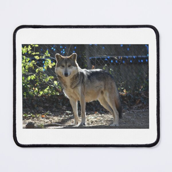 Item preview, Grey Wolf designed and sold by MarieDarcy97.