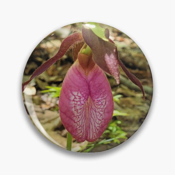 Item preview, Forest Awe, Pink Lady Slipper designed and sold by KBarrett-ForAwe.