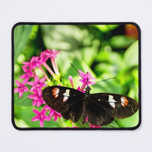 Item preview, Black Longwing Butterfly designed and sold by Kay Brewer.
