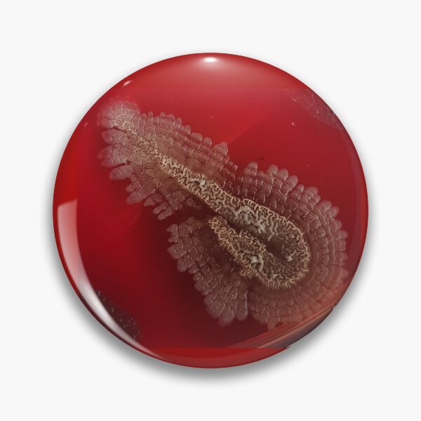 Item preview, Ornate bacterial colony on blood agar designed and sold by Fromthelab.