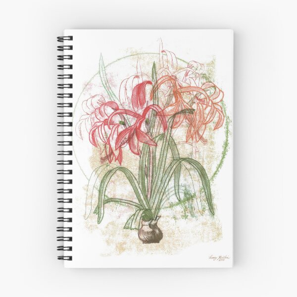 Item preview, Amaryllis Formosissima designed and sold by HoneyGherkin.
