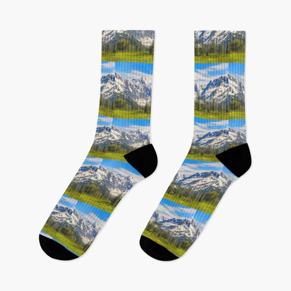 Item preview, USA. Alaska. Green Valley Surrounded by Snow-Covered Mountains. designed and sold by vadim19.