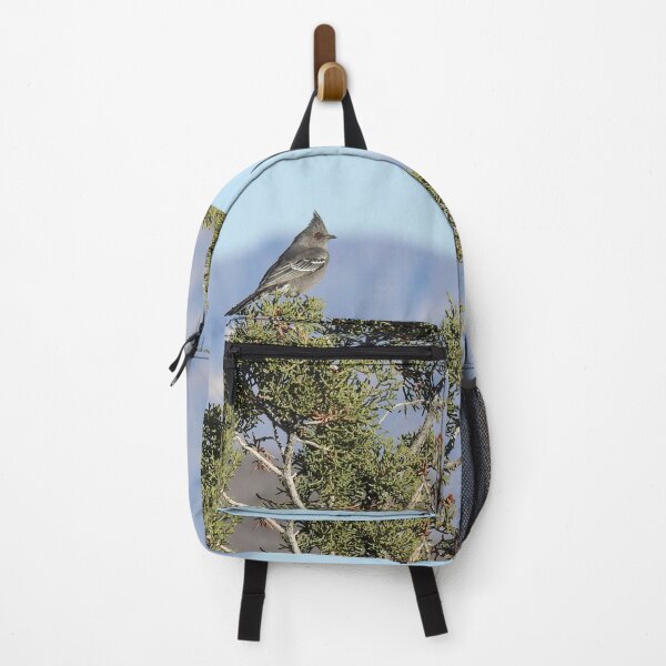 Item preview, Wild Birds, Phainopepla, Wildlife Photography designed and sold by Sandra O'Toole.
