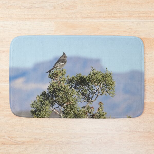 Item preview, Wild Birds, Phainopepla, Wildlife Photography designed and sold by Sandra O'Toole.