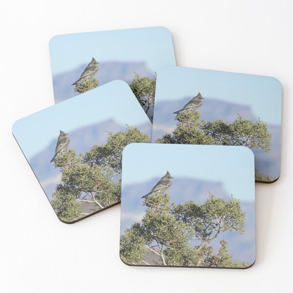Item preview, Wild Birds, Phainopepla, Wildlife Photography designed and sold by Sandra O'Toole.