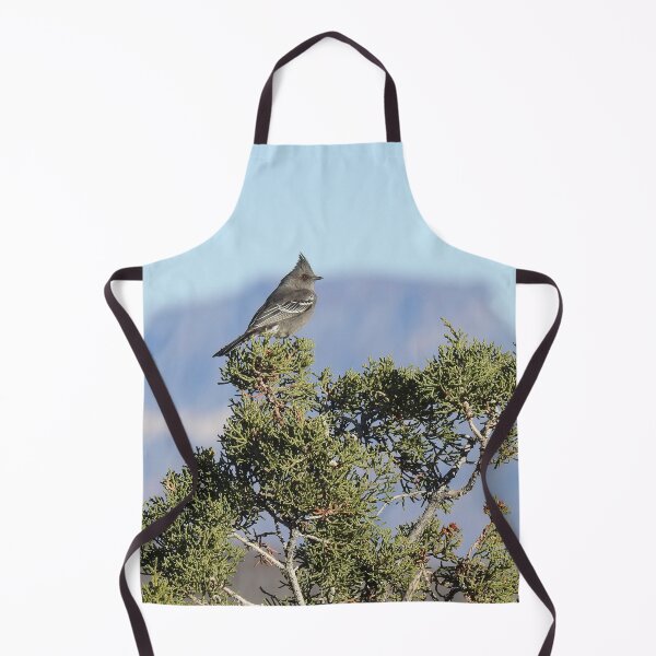 Item preview, Wild Birds, Phainopepla, Wildlife Photography designed and sold by Sandra O'Toole.